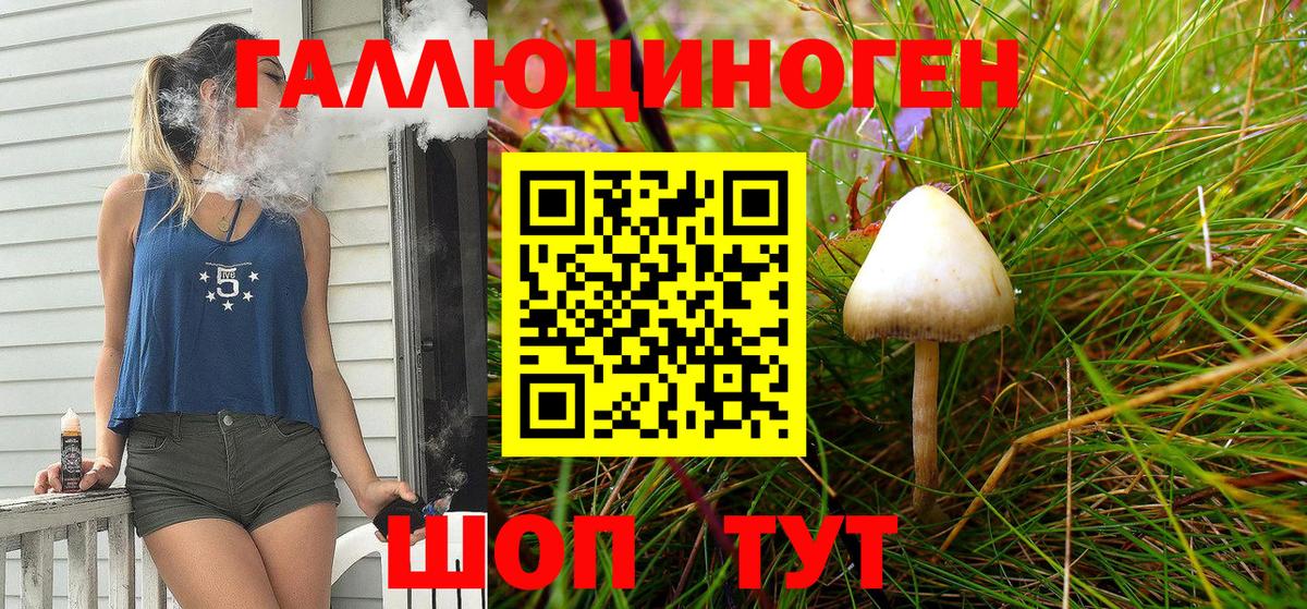 Псилоцибиновые грибы Psilocybine cubensis Приморско-Ахтарск