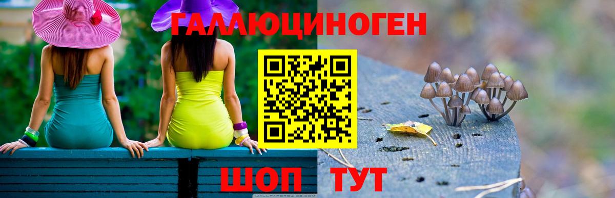 Псилоцибиновые грибы Magic Shrooms  Вход с VPN  Приморско-Ахтарск  Псилоцибиновые грибы Psilocybine cubensis 